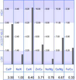 Hair Tissue Mineral Analysis (HTMA)&nbsp;Explained